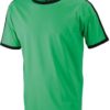 Mens Flag T James & Nicholson - frog/black