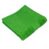 Classic Bath Towel Bear Dream - green