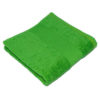 Classic Guest Towel Bear Dream - green
