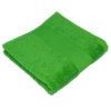 Classic Hand Towel Bear Dream - green
