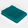 Economy Guest Towel Bear Dream - Lagoon Green
