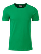 Mens Basic T James & Nicholson - fern green