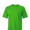 Basic T Shirt James & Nicholson - lime-green