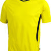 Team T James & Nicholson - yellow