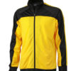 Training Team Suit James & Nicholson - black yellow