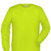 Men's Bio Sweat James & Nicholson - acid yellow