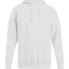 Men's Hoody Promodoro - sports grey