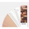 PANTONE SkinTone Guide