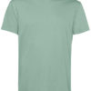 Organic E150 Shirt - sage
