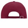 Unisex 6 Panel Raver Cap Lamiated - Rückseite